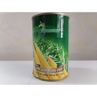 [425g] BẮP NON ĐÓNG HỘP [VN] ANTESCO Baby Corn Whole (vvk-hk)