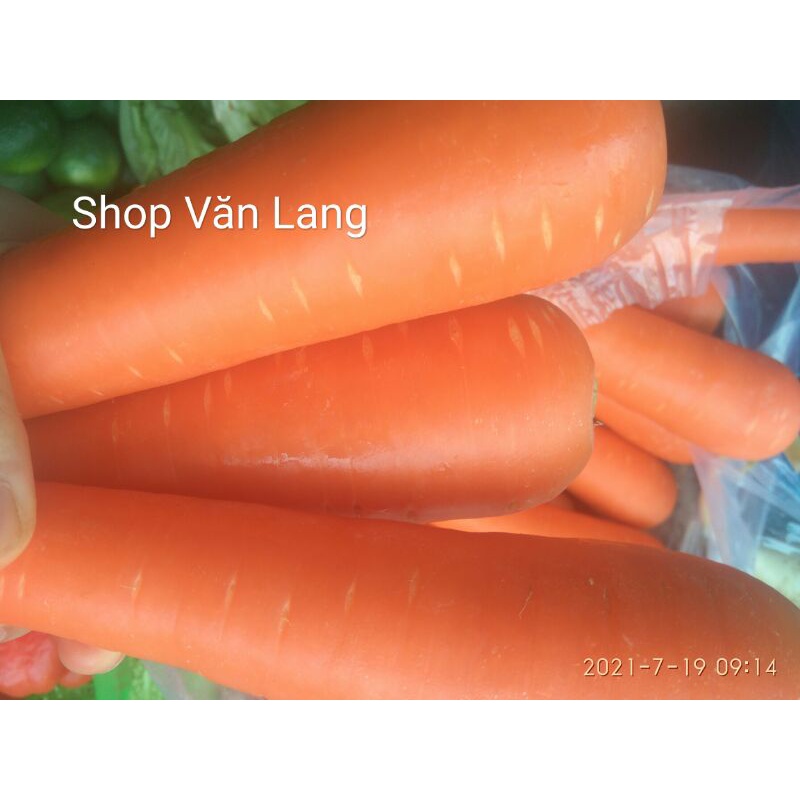 Cà rốt tươi ngon ngọt loại 1 túi 500g - ship Hà Nội