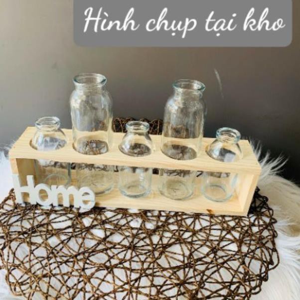 🍀Set 5 lọ thủy tinh cao thấp cắm hoa kèm kệ gỗ Home.