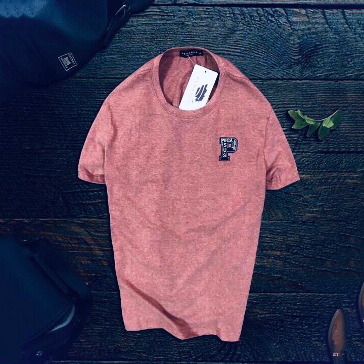 Áo thun nam cổ tròn PEGASUS cao cấp KENSTORE89 ATP062 | BigBuy360 - bigbuy360.vn