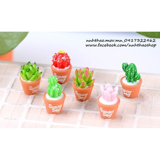 Mô hình Chậu cây xương rông tý hon trang trí mô hình, tiểu cảnh