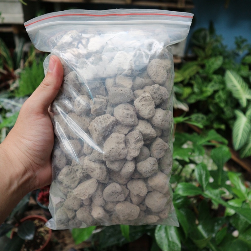Đá bọt Nostiplant PUMICE size lớn 2-4cm  | Đá lông vũ, vật liệu lọc bể cá cảnh, giá thể kiểng lá