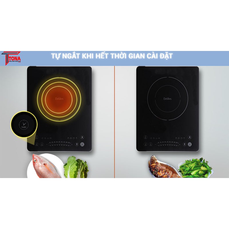 Bếp Từ Delites BDT01