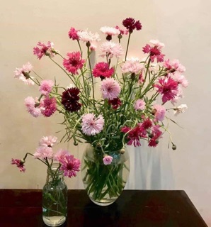 Lọ hoa thủy tinh chum bầu