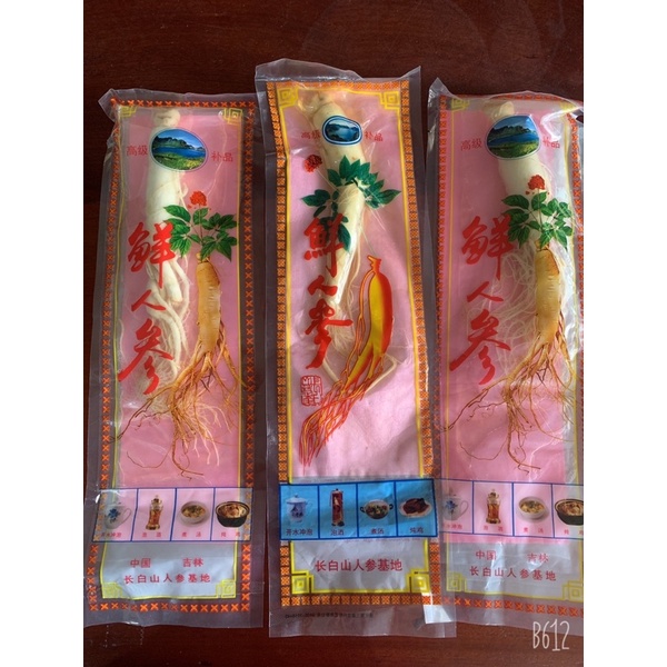 Củ Nhân Sâm tươi - đông y chấn hưng long