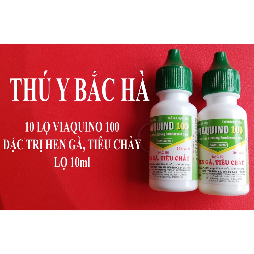 Hộp 10 lọ 10ml Viaquino 100 Chuyên dùng cho Gà Chọi,Gà Đá,Gà Cảnh,Chim Cảnh