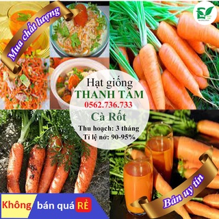 Hạt giống cà rốt - 2g