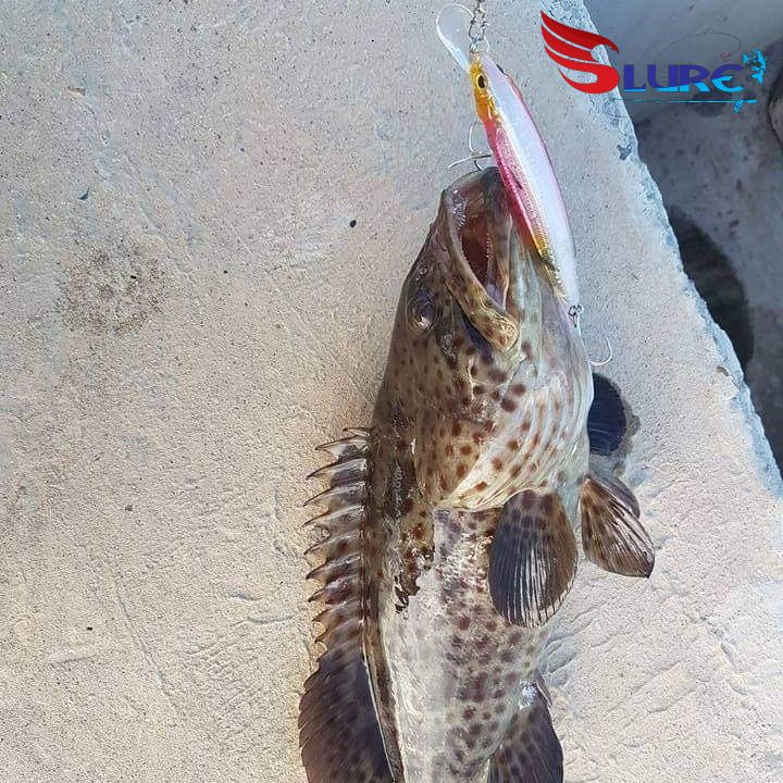 Mồi giả, mồi lure ghềnh, Samurai 26g chính hãng, Slure, câu cá Hồng, cá Nhồng, cá Bè , cá mú...