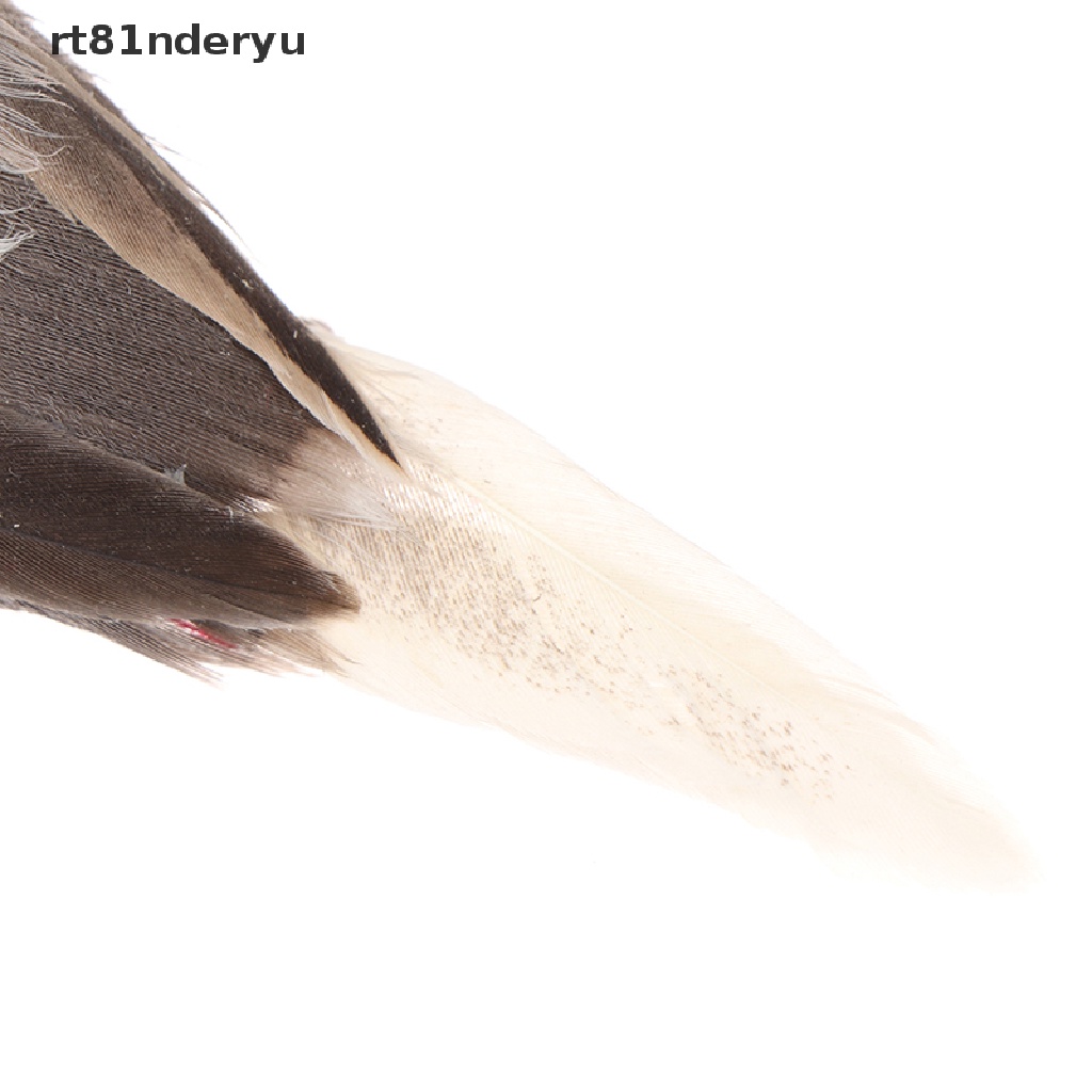 Mô hình chim sẻ bằng xốp màu xám trang trí nhà cửa/ tiệc cưới