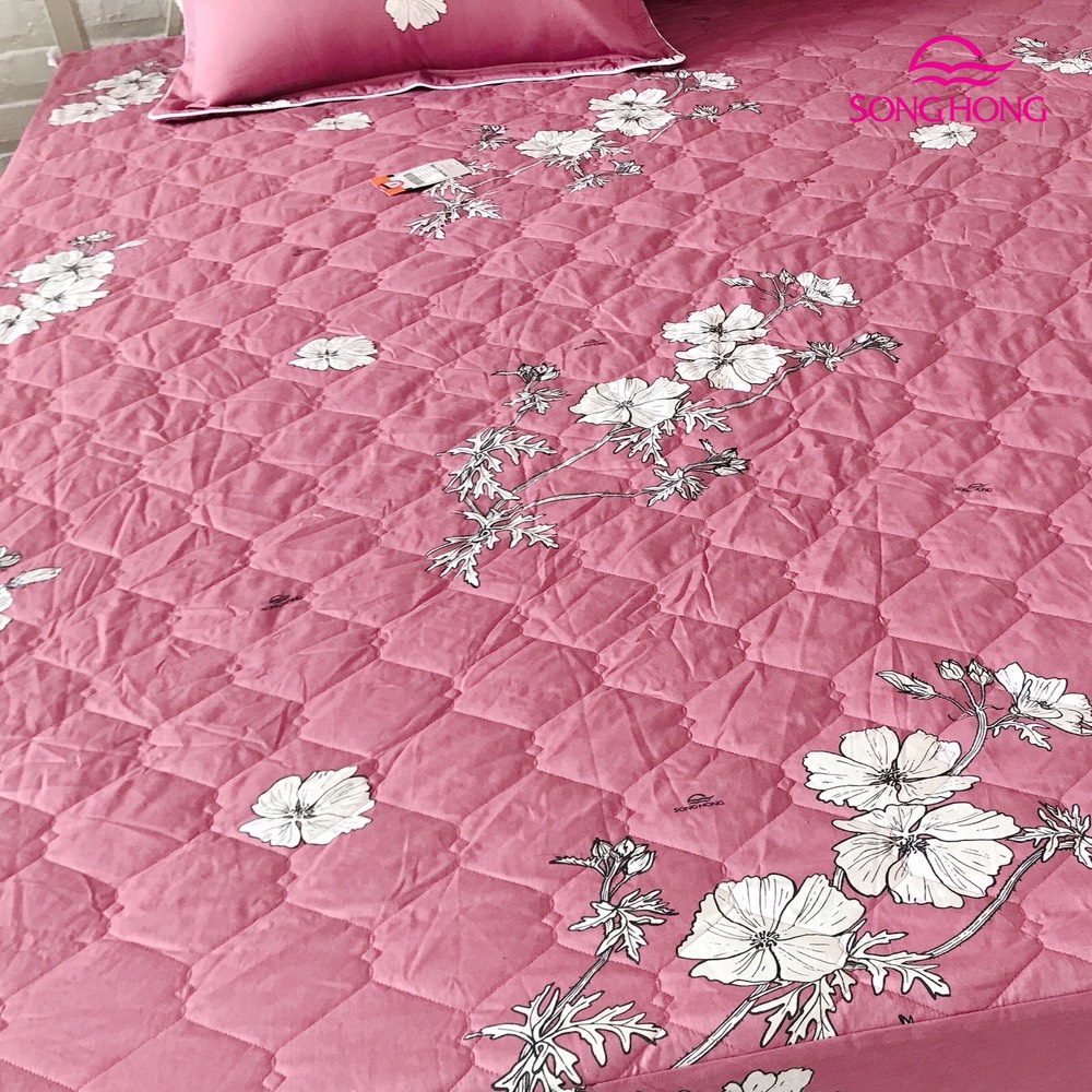 Thanh lý bộ ga chun Sông Hồng BC20 012 chất cotton kích thước 1m2 /1m5 /2m