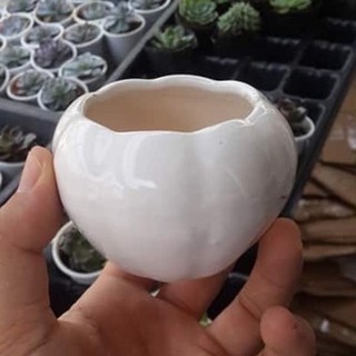 Chậu sứ Hàng cao cấp loại 1 trồng sen đá sương rồng, tròn vuông các màu
