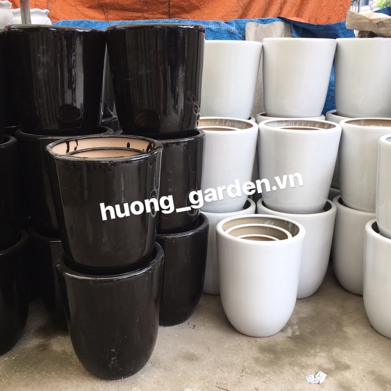 Chậu bom trồng cây size đại