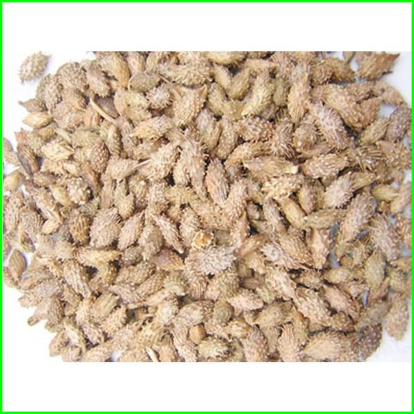 1kg Ké đầu ngựa hàng loại 1 GT017
