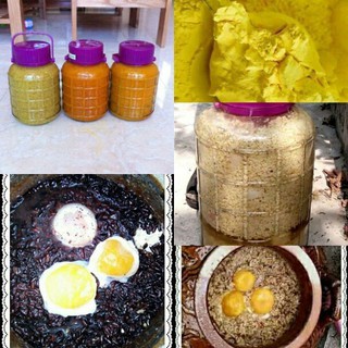 củ địa liền