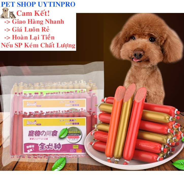 100 CÂY XÚC XÍCH DINH DƯỠNG CHO CHÓ MÈO - Pet shop Uytinpro
