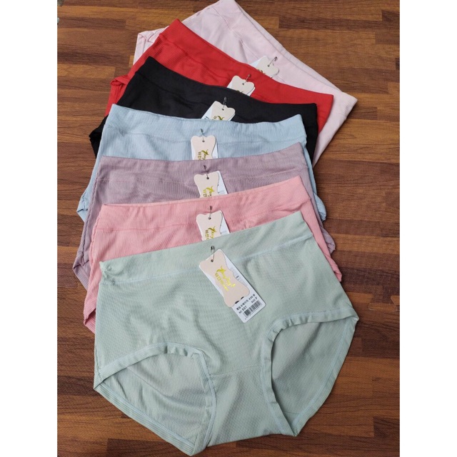 Quần Lót Cotton Cạp Cao Form To 557 | BigBuy360 - bigbuy360.vn