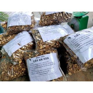 An xoa -cây an xoa hoa tím -an xoa khô