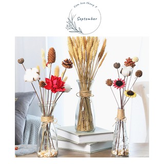 ♥️FREESHIP♥️Lọ thủy tinh cắm hoa, trang trí nhà kèm dây thừng cực đẹp