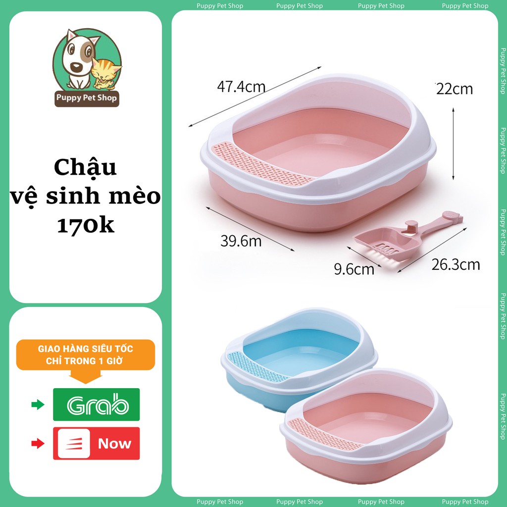 Chậu Vệ Sinh, Chậu Cát Cho Mèo cửa ngang- Tặng kèm xẻng