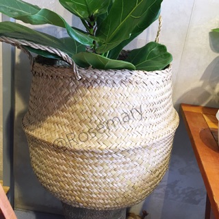 Giỏ cói đựng cây, trang trí nhà cửa