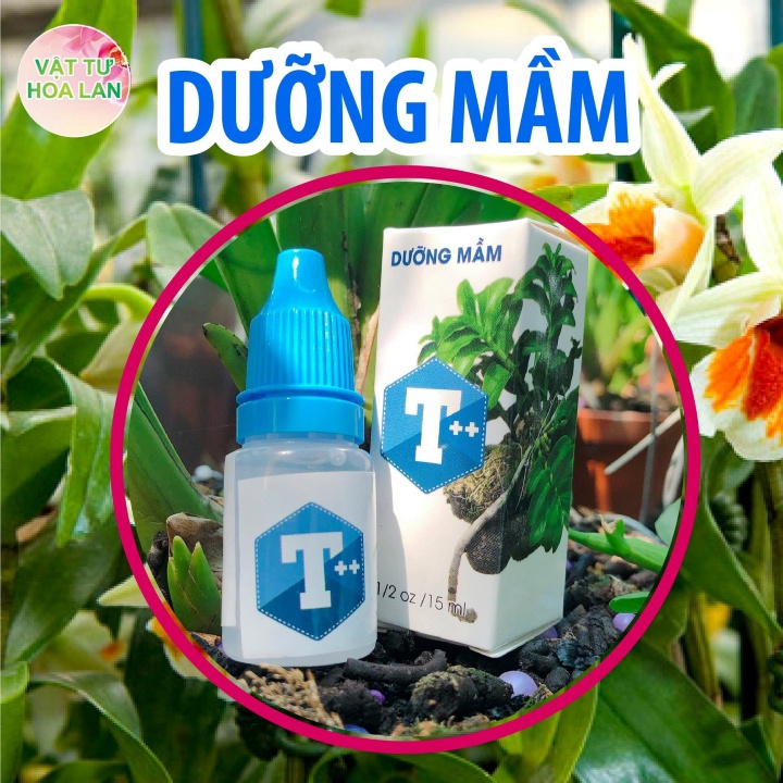 CHẾ PHẨM T++ SIÊU DƯỠNG MẦM PHONG LAN - 15ml