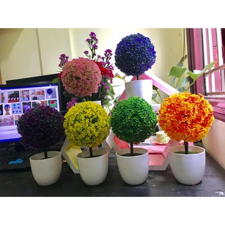 Chậu cây cẩm tú cầu giả trang trí để bàn nhiều màu sắc