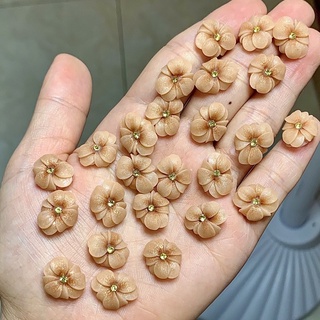 Hoa bột Nail - Hoa bột gắn móng nail [sẵn hàng]