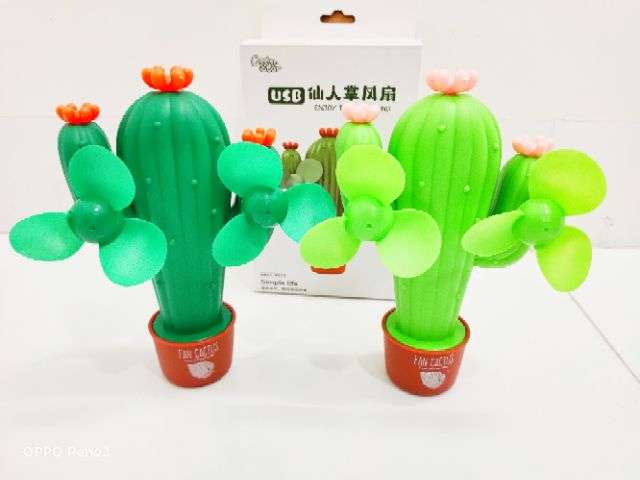 QUẠT XẠC ĐIỆN HÌNH CÂY XƯƠNG RỒNG ĐỘC LẠ