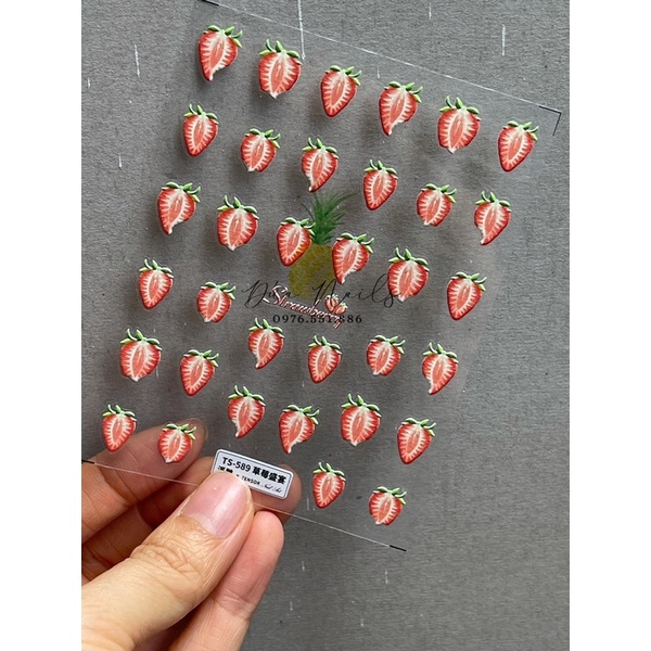 Album stick cao cấp 10