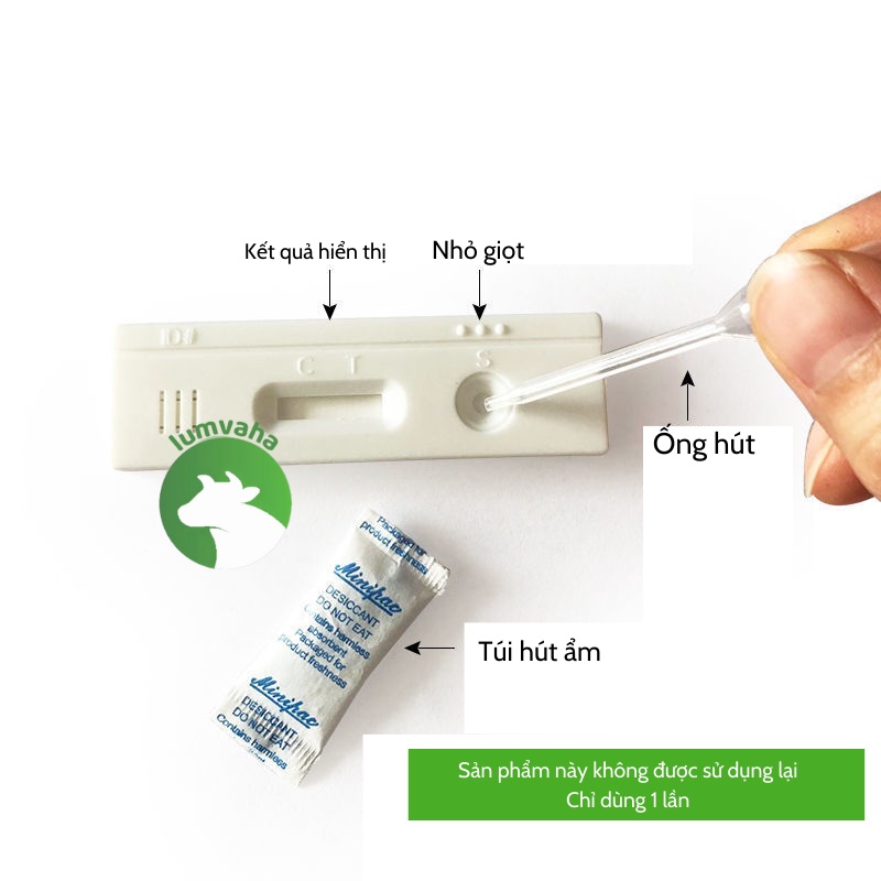 Que thử thai lợn gia xúc trâu bò phát hiện thai sớm VA34