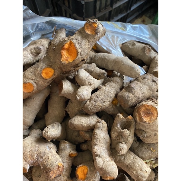 1kg Củ nghệ tươi, nghệ già vàng - tươi ngon mỗi ngày