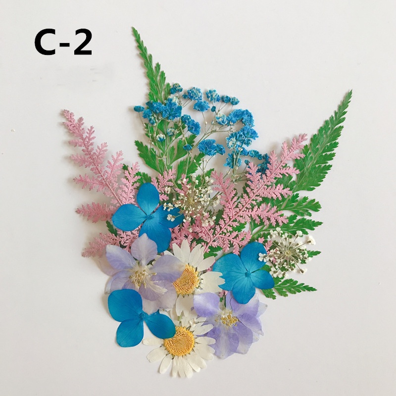 Set Hoa Ép Khô Hỗn Hợp Theo Tông Màu Làm Trang Trí Nến Thơm, Handmade