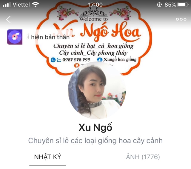 Dớn chile dùng sang chậu bẫy kẹp