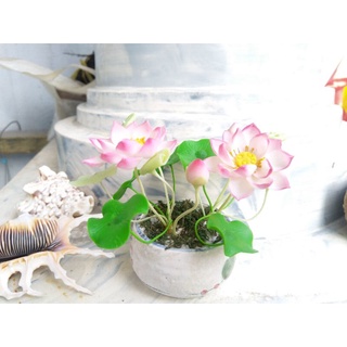 Hoa đất sét _Hoa sen