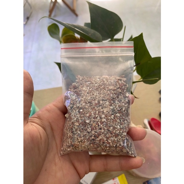 Khoáng cho chim cảnh, yến phụng, yến hót, finch