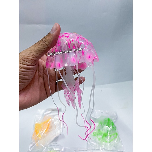 SỨA CAO SU DẠ QUANG ĐỦ MÀU TRANG TRÍ BỂ CÁ CẢNH