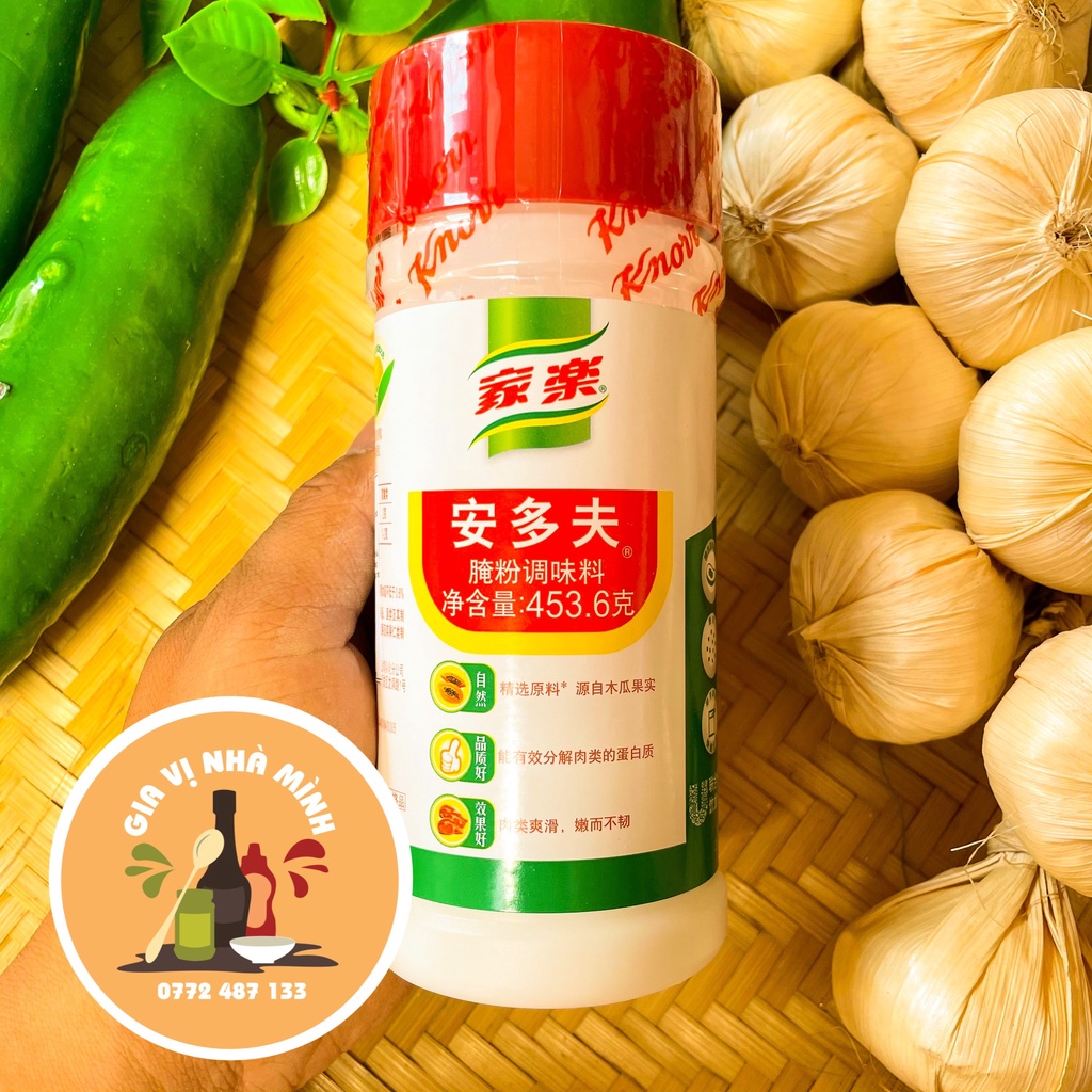 BỘT LÀM MỀM THỊT KNORR 454GR -MEAT TENDERIZER POWDER