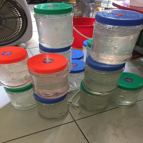 Keo bẫy chim cò vạc loại 300g và 500g 1kg siêu dính