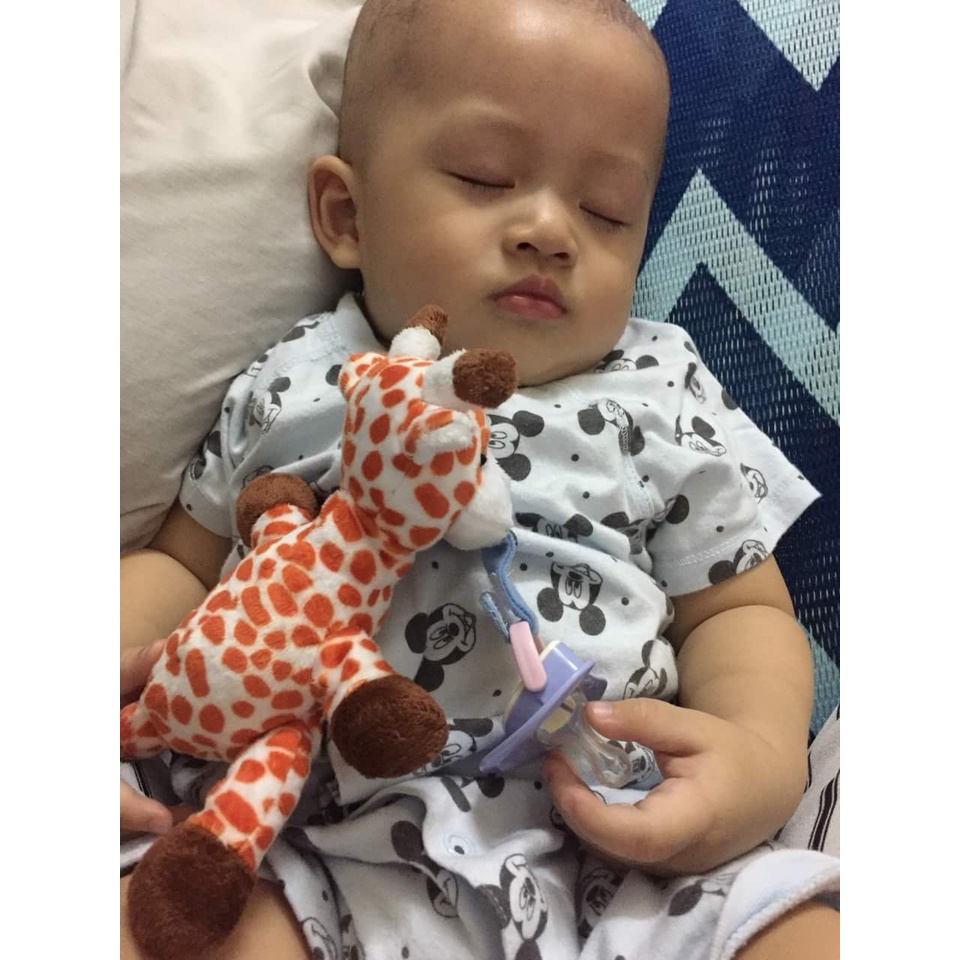 Thú bông hươu cao cổ gắn vào ti giả cho bé Tommy Baby