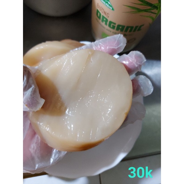 Scoby làm trà combucha