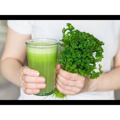 Hạt giống rau mùi ( ngò rí ) dễ trồng kháng sâu bệnh năng xuất cao [ gói 100gram ,200gram,500gram]