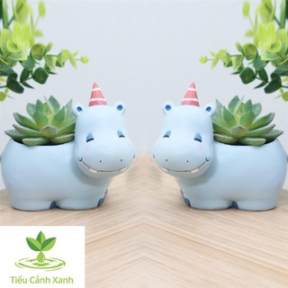 Chậu cây Hà Mã Cười Đểu - Chậu trồng cây