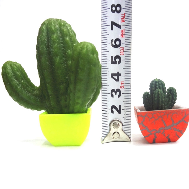 Đồ chơi xương rồng ngâm nước 48 mẫu đáng yêu