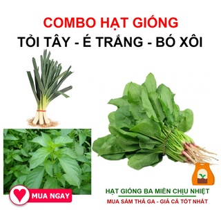 Combo 3 Loại Hạt Giống Tỏi Tây, Cải Bó Xôi Và Rau Thơm Sả - É Trắng