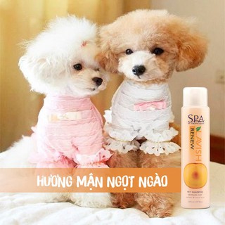 Sữa tắm cho chó phục hồi màu lông Tropiclean Spa Renew Shampoo 473ml