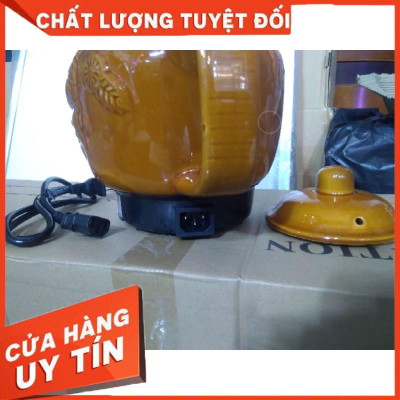 siêu nấu thuốc bằng điện tự ngắt,ấm nấu thuốc bằng điện