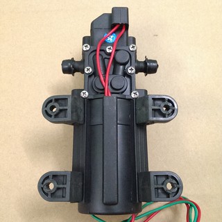 Bơm nước mini 12V