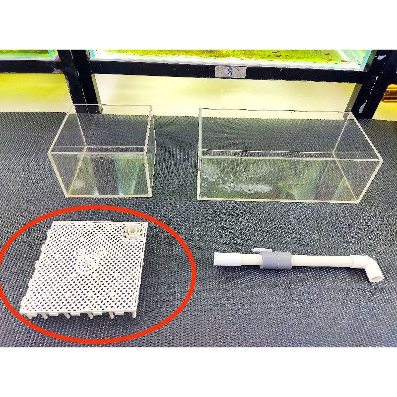 Vỉ lọc đáy taiwan