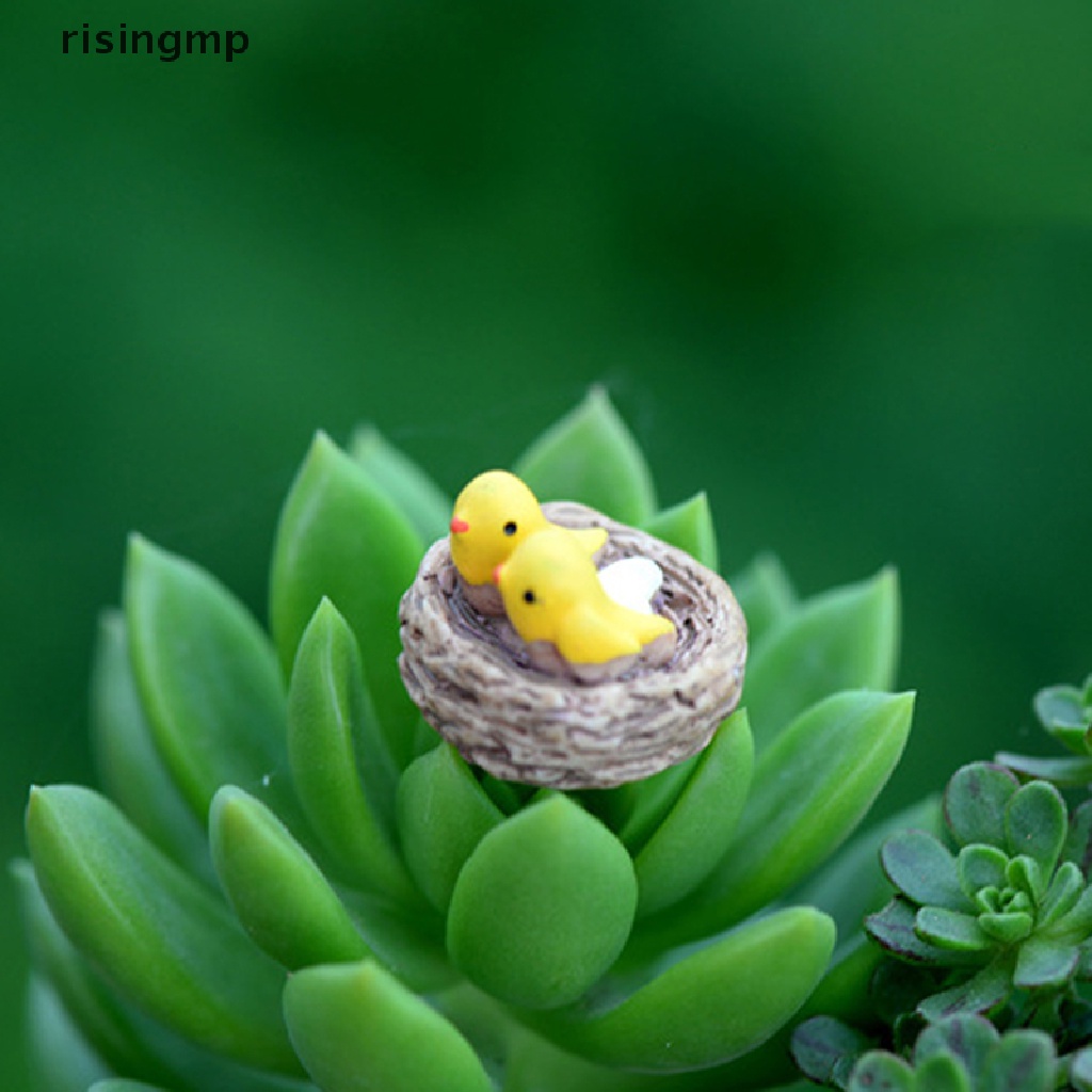 Mô Hình Tổ Chim Mini Bằng Nhựa resin Trang Trí Tiểu Cảnh ♨Trên đó