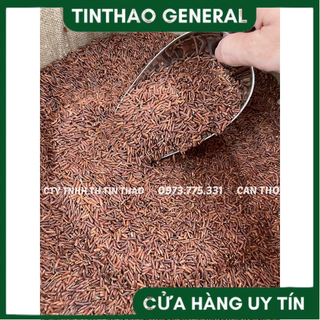 COMBO 10 CƠM CHÁY GẠO LỨT - CHỌN VỊ